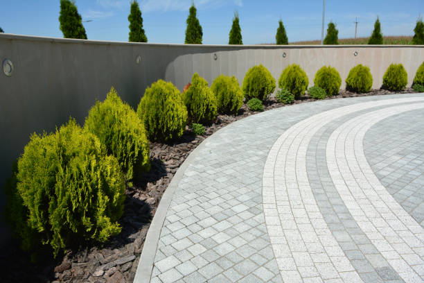 Best Custom Driveway Pavers  in Spencerville, NM